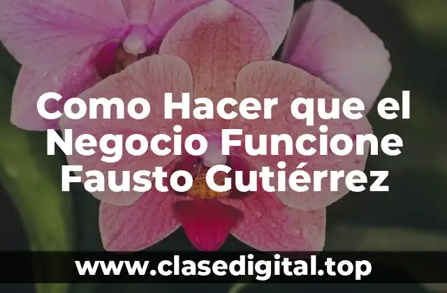 Como Hacer que el Negocio Funcione Fausto Gutiérrez