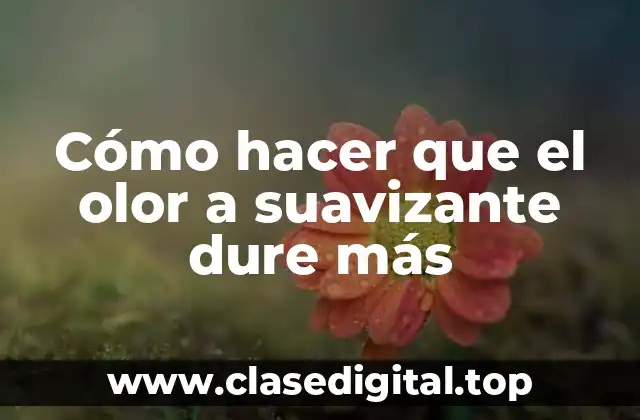 Suavizantes para ropa: ¿Qué son y cómo funcionan?