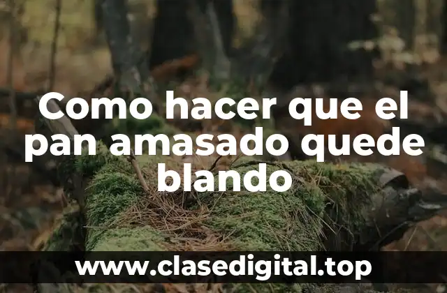 Como hacer que el pan amasado quede blando