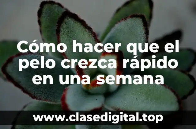 Cómo hacer que el pelo crezca rápido en una semana