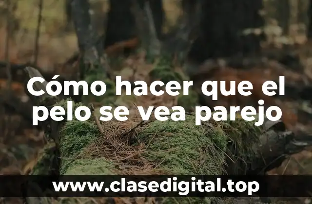 Cómo hacer que el pelo se vea parejo