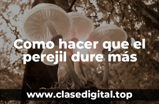 Como hacer que el perejil dure más