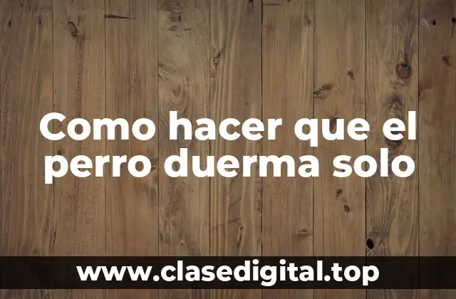 Como hacer que el perro duerma solo