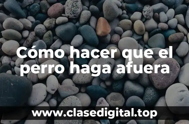 Cómo hacer que el perro haga afuera