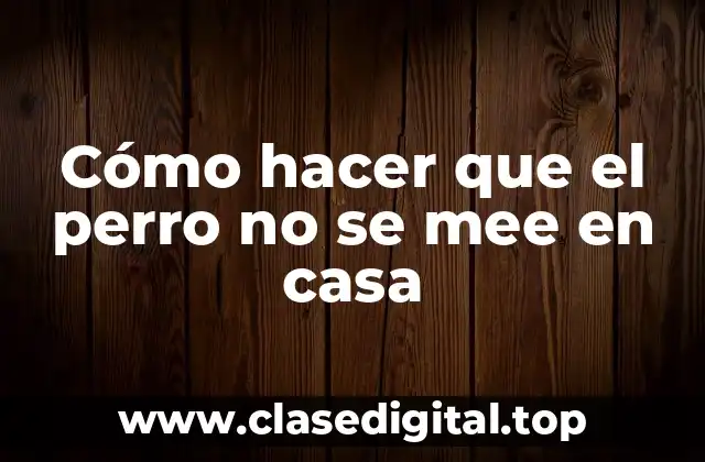 Cómo hacer que el perro no se mee en casa