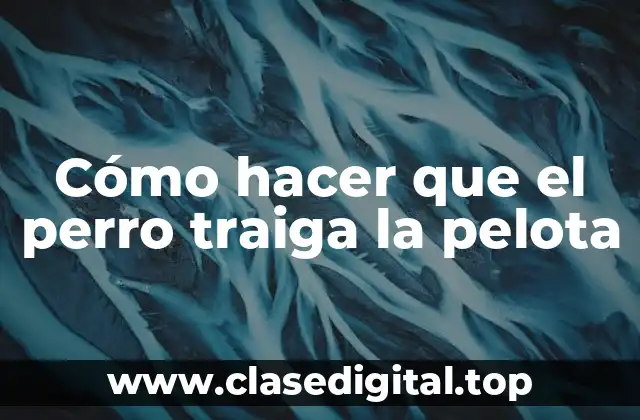 Cómo hacer que el perro traiga la pelota