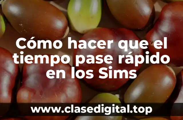 Cómo funciona el tiempo en los Sims