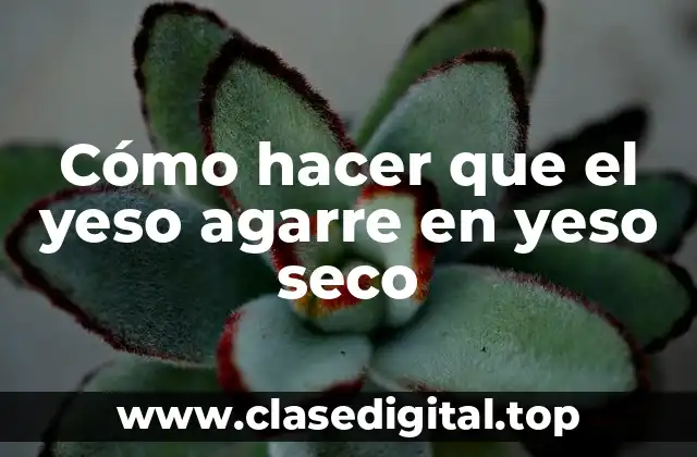 Cómo hacer que el yeso agarre en yeso seco