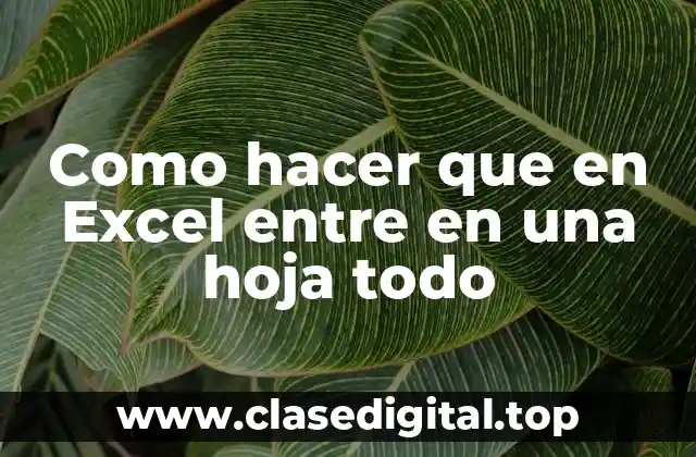 Como hacer que en Excel entre en una hoja todo