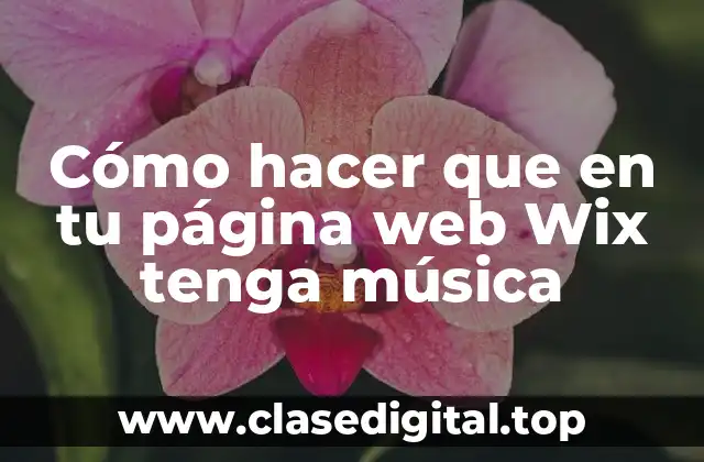 Cómo hacer que en tu página web Wix tenga música