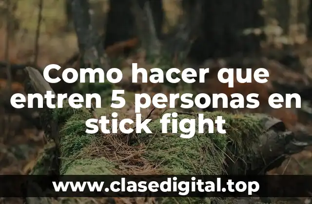 Como hacer que entren 5 personas en stick fight