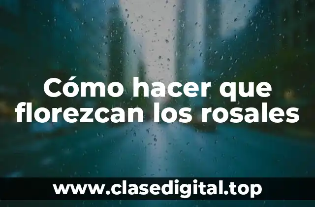 Cómo hacer que florezcan los rosales