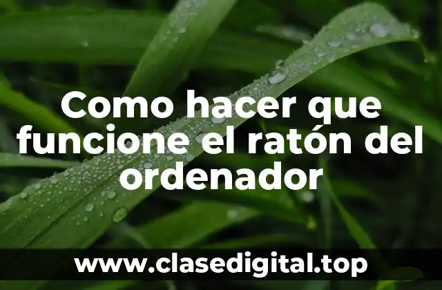 Como hacer que funcione el ratón del ordenador