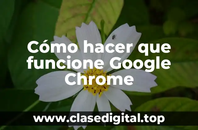 Cómo hacer que funcione Google Chrome