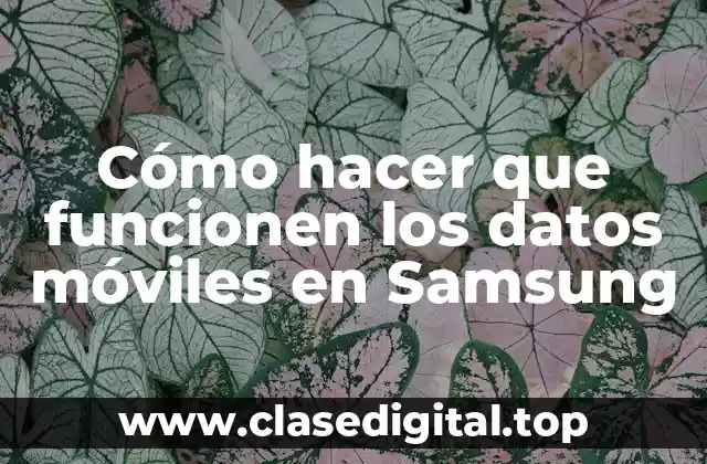Cómo hacer que funcionen los datos móviles en Samsung