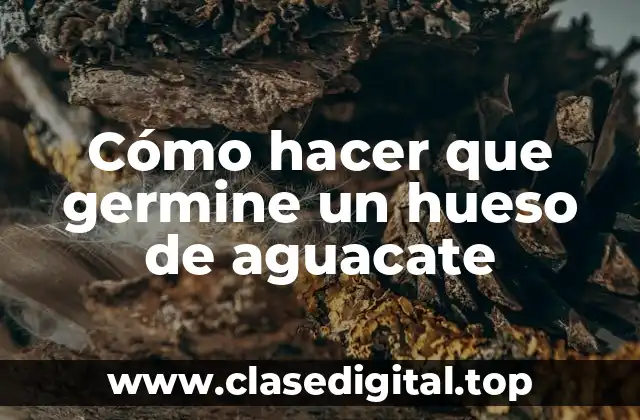 Cómo hacer que germine un hueso de aguacate