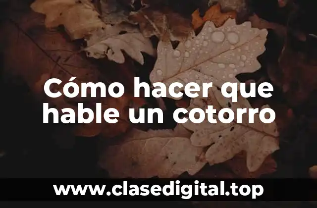 Cómo hacer que hable un cotorro