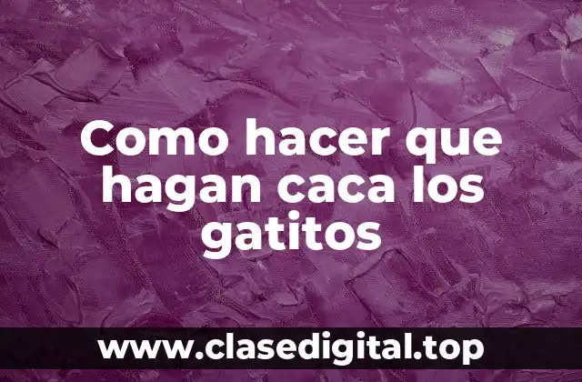 Como hacer que hagan caca los gatitos