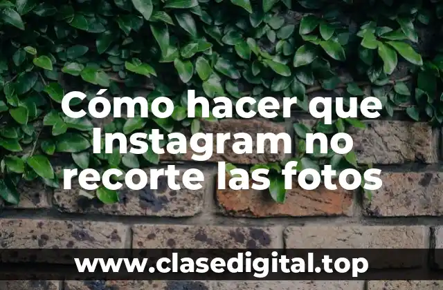 Cómo hacer que Instagram no recorte las fotos