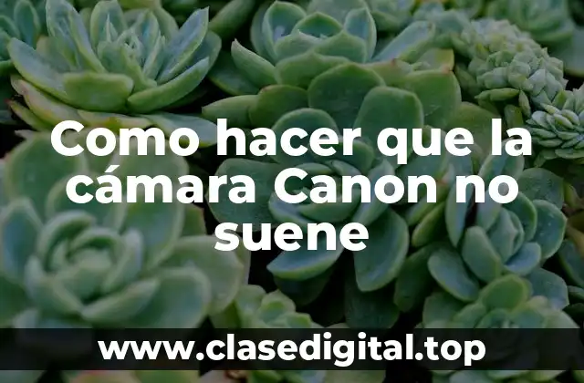 Como hacer que la cámara Canon no suene