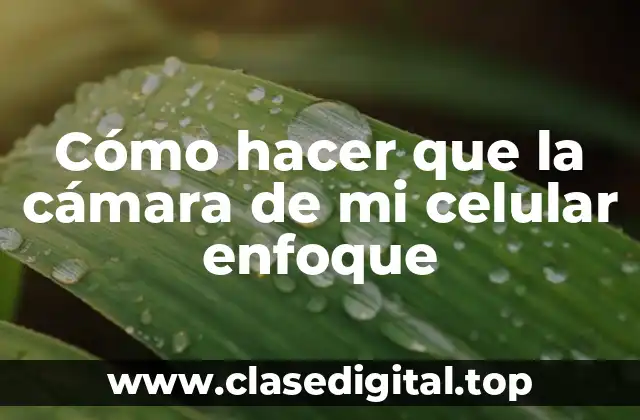 Cómo hacer que la cámara de mi celular enfoque
