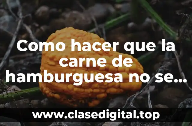 ¿Qué es la carne de hamburguesa y cómo se rompe al cocinar?