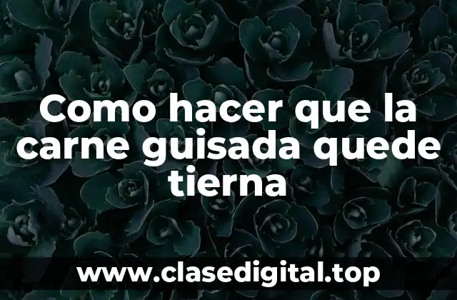 Como hacer que la carne guisada quede tierna