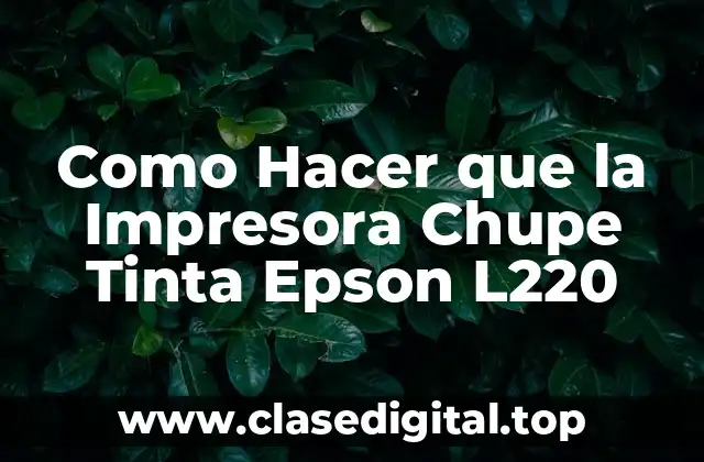 Como Hacer que la Impresora Chupe Tinta Epson L220