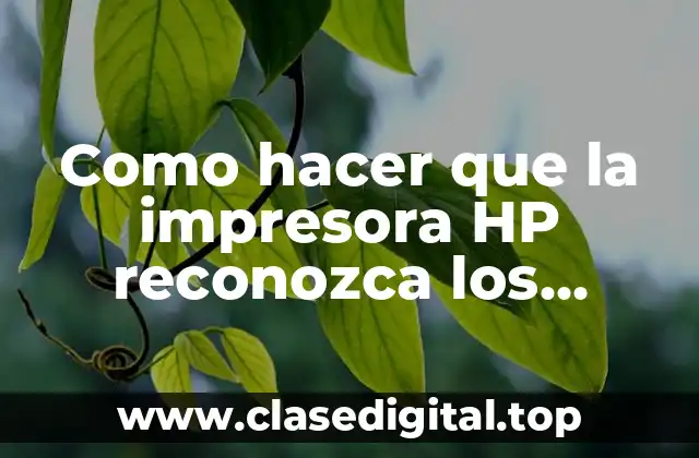 ¿Qué son los cartuchos recargados y cómo funcionan?