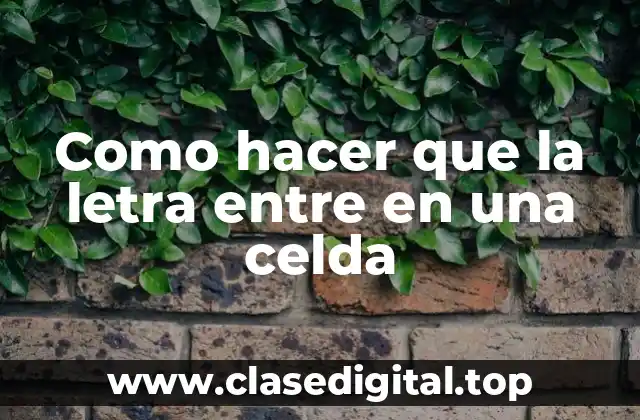 Insertar texto en una celda de Excel