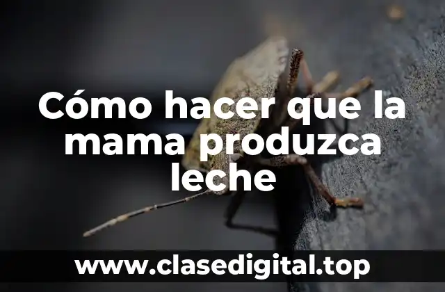 Cómo hacer que la mama produzca leche