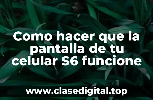 Como hacer que la pantalla de tu celular S6 funcione