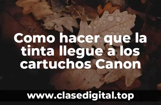 Como hacer que la tinta llegue a los cartuchos Canon