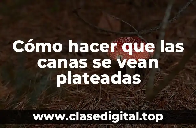 Cómo hacer que las canas se vean plateadas