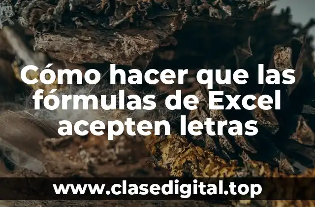 Cómo hacer que las fórmulas de Excel acepten letras