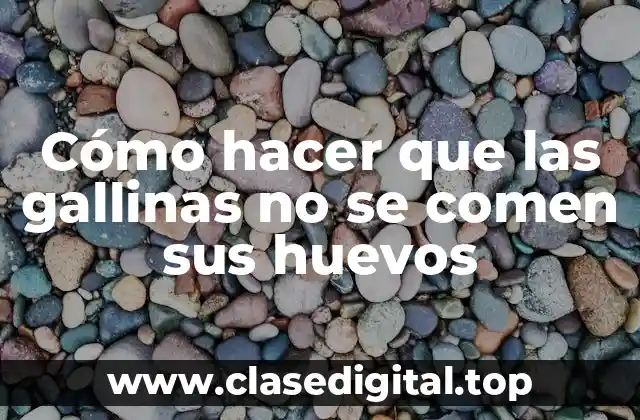 Cómo hacer que las gallinas no se comen sus huevos