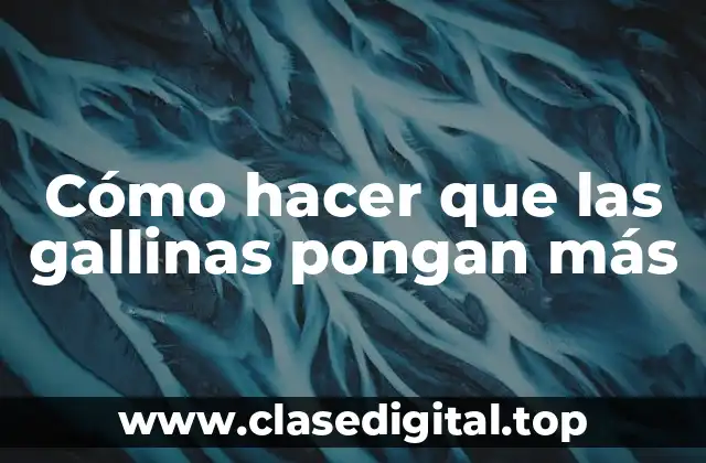 Cómo hacer que las gallinas pongan más