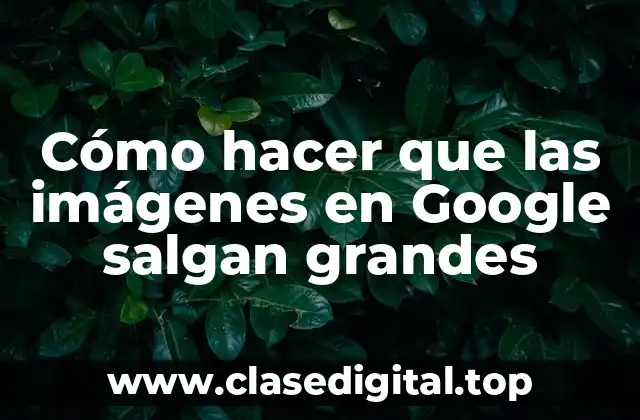 Cómo hacer que las imágenes en Google salgan grandes