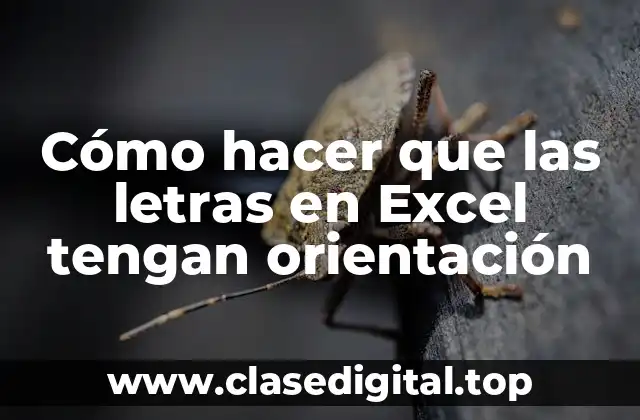 Dar orientación a las letras en Excel