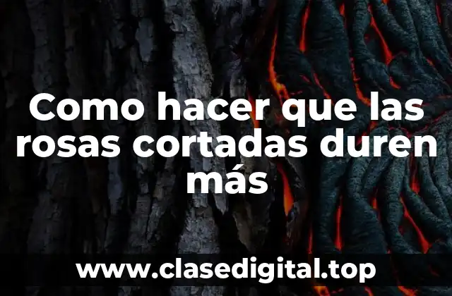 Como hacer que las rosas cortadas duren más