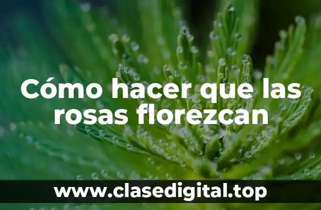 Cómo hacer que las rosas florezcan