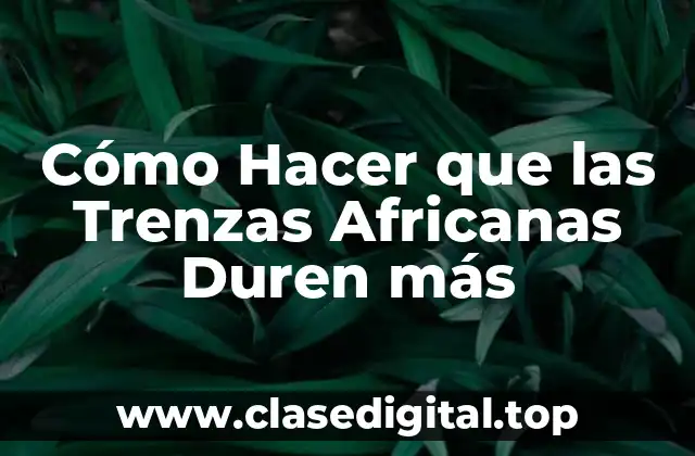 ¿Qué son las Trenzas Africanas y para qué Sirven?
