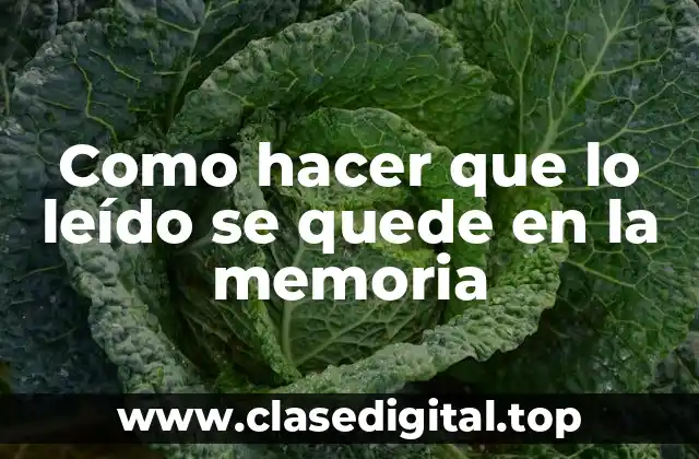 Como hacer que lo leído se quede en la memoria