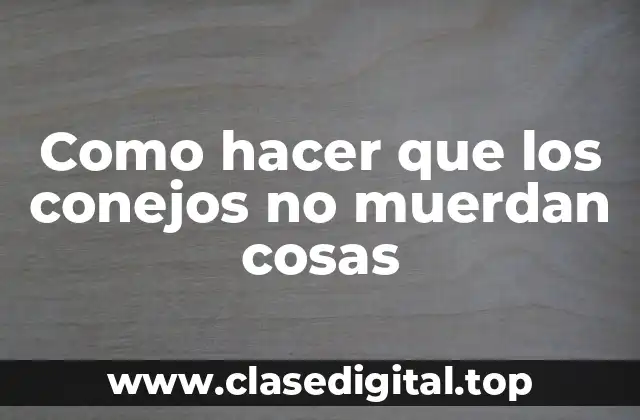 ¿Qué son los conejos y por qué muerden cosas?