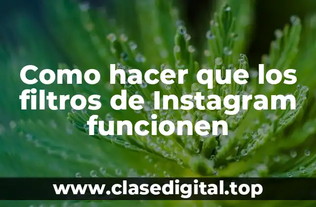 Como hacer que los filtros de Instagram funcionen