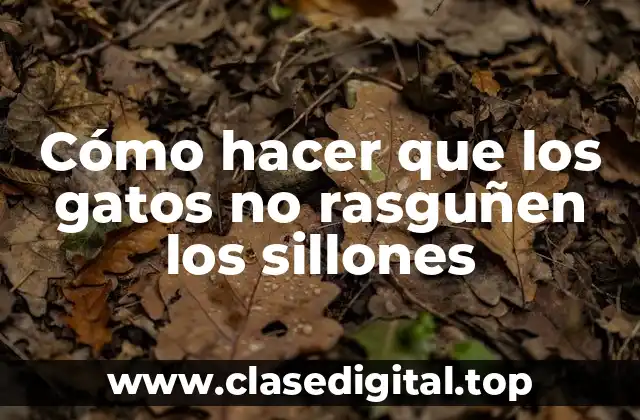 Cómo hacer que los gatos no rasguñen los sillones