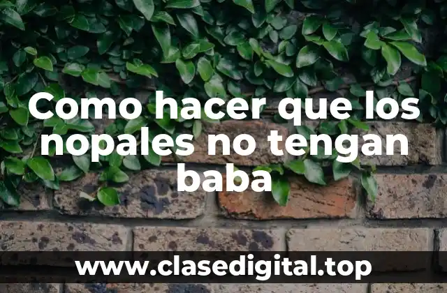 Como hacer que los nopales no tengan baba