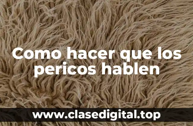 ¿Qué es una educación efectiva para que los pericos hablen?