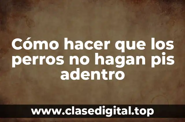 Cómo hacer que los perros no hagan pis adentro