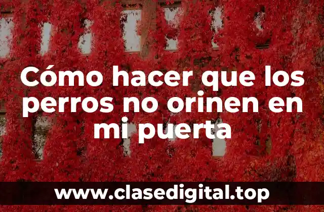 Cómo hacer que los perros no orinen en mi puerta